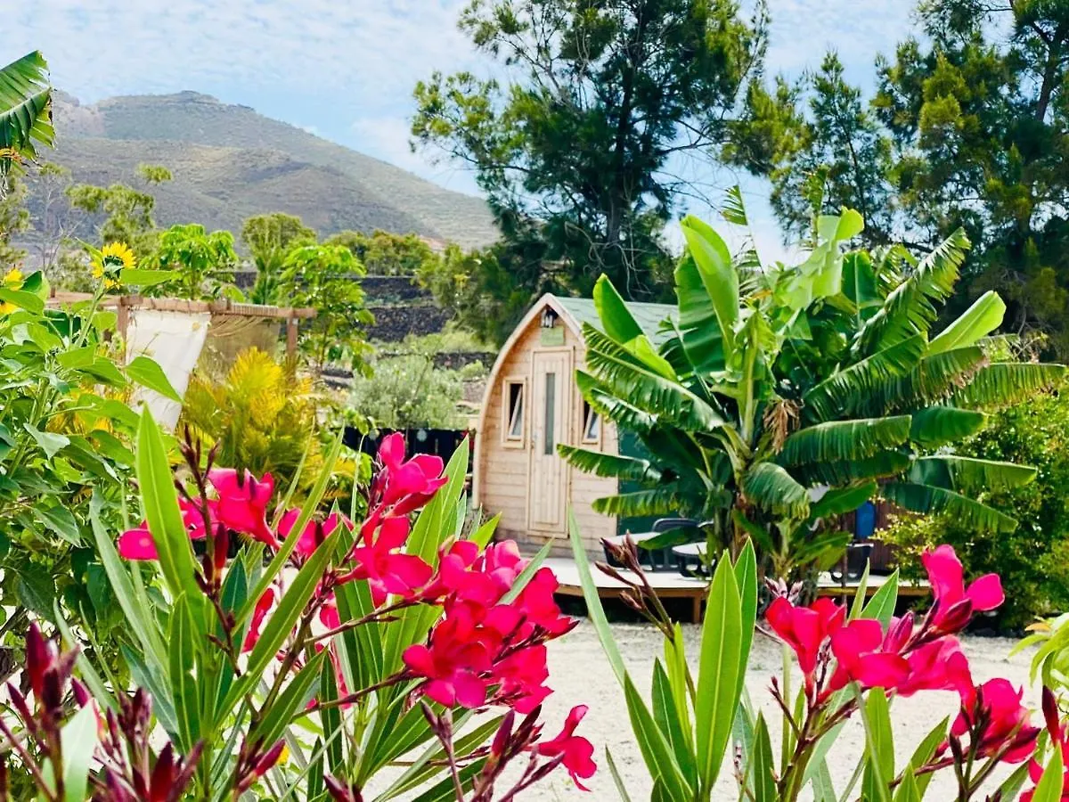 Holiday home Bernegal Maday Hot Tub Climatizado Piscina Y Jardin Villa Buzanada