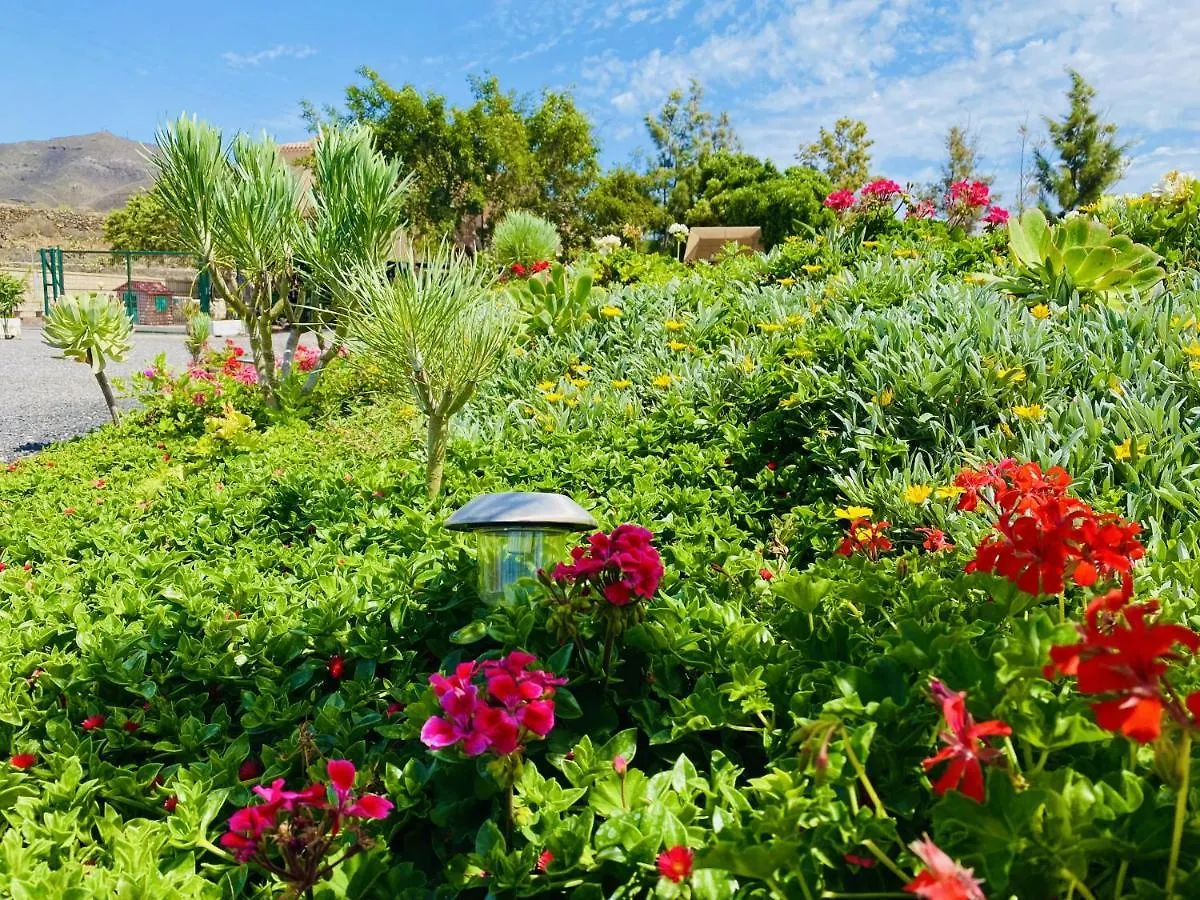 Bernegal Maday Hot Tub Climatizado Piscina Y Jardin Villa Buzanada Holiday home