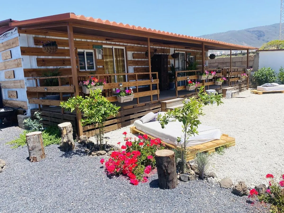 Prázdninový dům Vila Bernegal Maday Hot Tub Climatizado Piscina Y Jardin Buzanada Španělsko